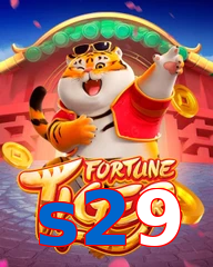 s29