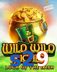s29
