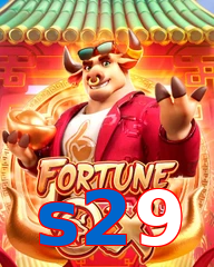 s29