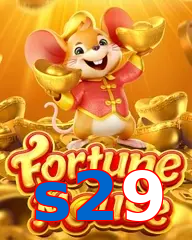 s29